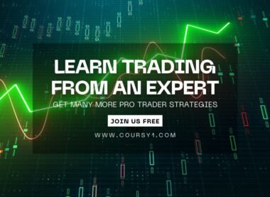 learn trading from expert